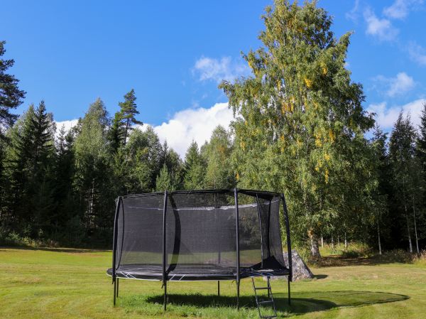 Trampoline Removal in Sherman