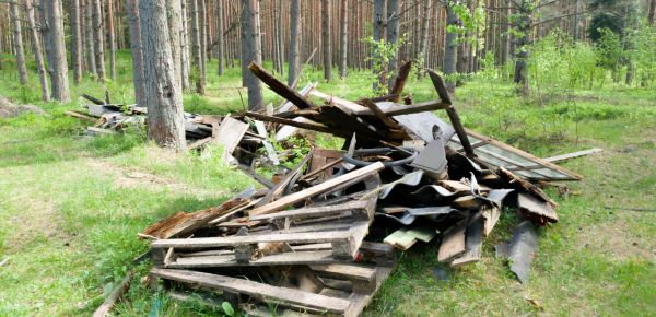 Debris Removal Service in Sherman