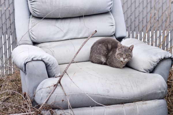 Recliner Disposal in Sherman