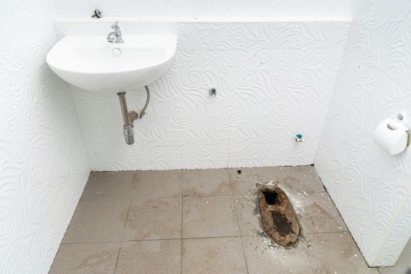 Toilet Disposal in Sherman